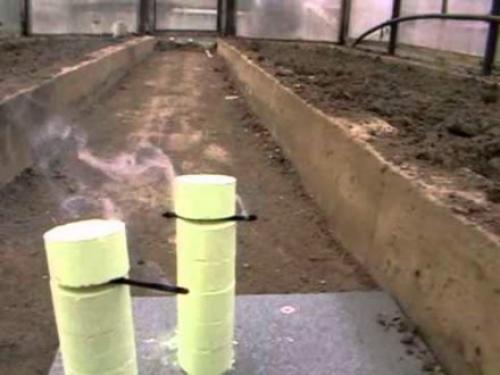 Дезинфекция погреба своими руками. Как подготовить погреб для хранения овощей 02