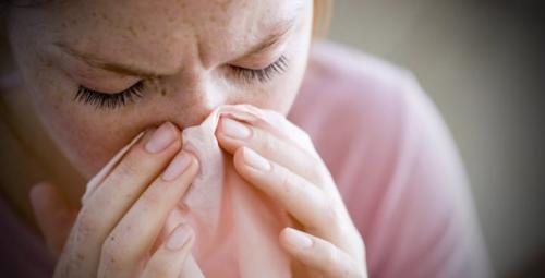 Обработка подвала от плесени. Опасность грибка для человека