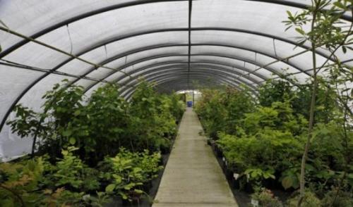 Дезинфекция погреба своими руками. Как подготовить погреб для хранения овощей 04