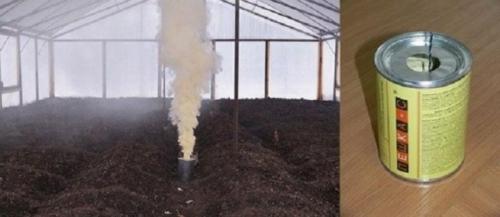 Дезинфекция погреба своими руками. Как подготовить погреб для хранения овощей 03