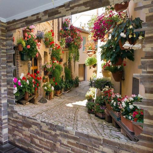 Виниловые или флизелиновые обои: как отличить их друг от друга 02 Виниловые или флизелиновые обои: как отличить их друг от друга 02