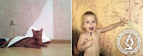 Виниловые обои на флизелиновой основе: свойства и применение 14 Виниловые обои на флизелиновой основе: свойства и применение 14