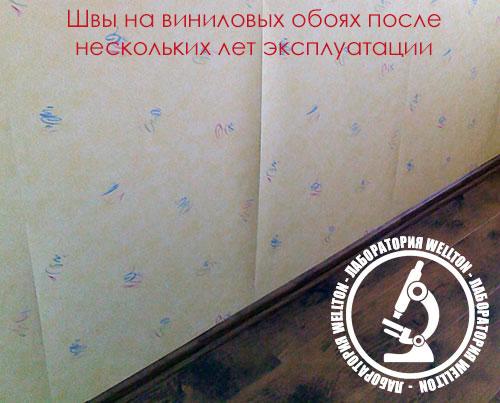 Виниловые обои на флизелиновой основе: свойства и характеристики 17 Виниловые обои на флизелиновой основе: свойства и характеристики 17