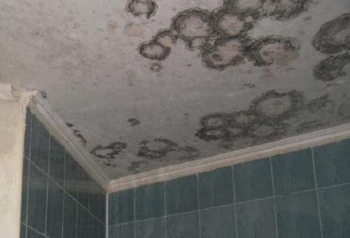 Как избавиться от конденсата в погребе. Как просушить погреб? 07 Как избавиться от конденсата в погребе. Как просушить погреб? 07