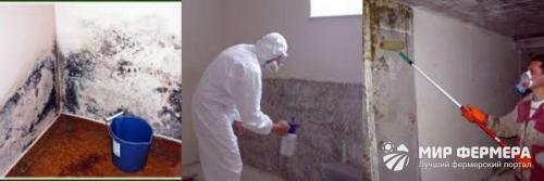 Как покрасить стены известью в подвале. Чем можно побелить погреб. Использование побелки из извести 14