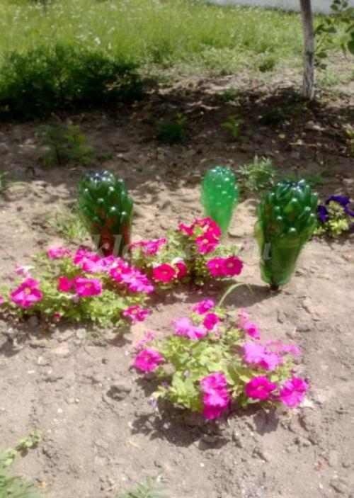 Создайте свои собственные волшебные цветы из пластиковых бутылок 13