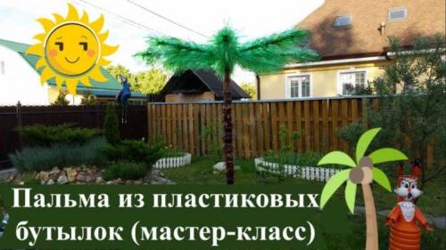 Как сделать из бутылок цветы. Цветы из пластиковых бутылок — подборка оригинальных идей поделок. Пошаговая инструкция, как сделать цветы своими руками + фото-обзоры