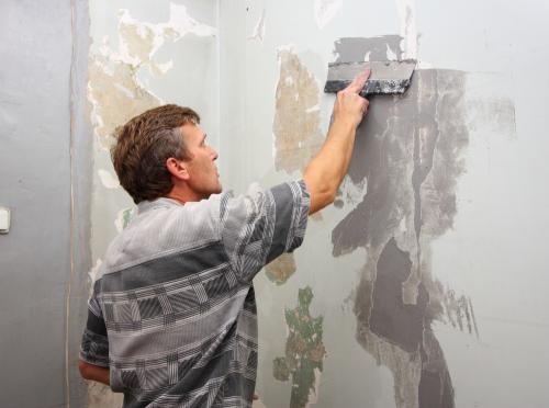 Чем и как покрасить стены в квартире или доме. Подготовка поверхности стен