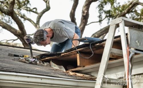 Сырость и плесень в погребе. Почему нужно избавляться от плесени