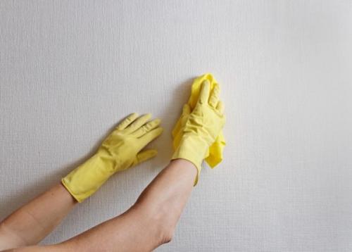 Защита от пятен и повреждений: Как правильно выбрать защиту для окрашенных обоев 09