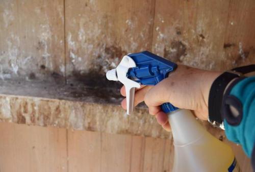 Чем белить стены в курятнике. Как проводится дезинфекционная очистка курятника