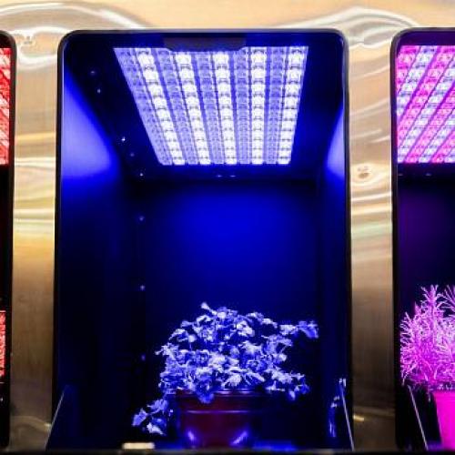 Как выбрать обои для дома: 10 основных правил 08 Как выбрать обои для дома: 10 основных правил 08