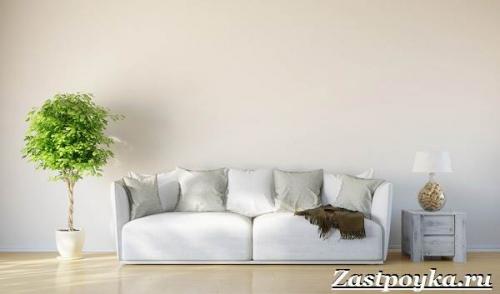 Добавки в водоэмульсионную краску. Водоэмульсионная краска. Описание, особенности, применение и цена водоэмульсионной краски