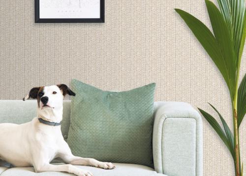 Как убрать флизелиновые обои для стен, если они устарели или испортились. Как снять флизелиновые обои с бетонных стен