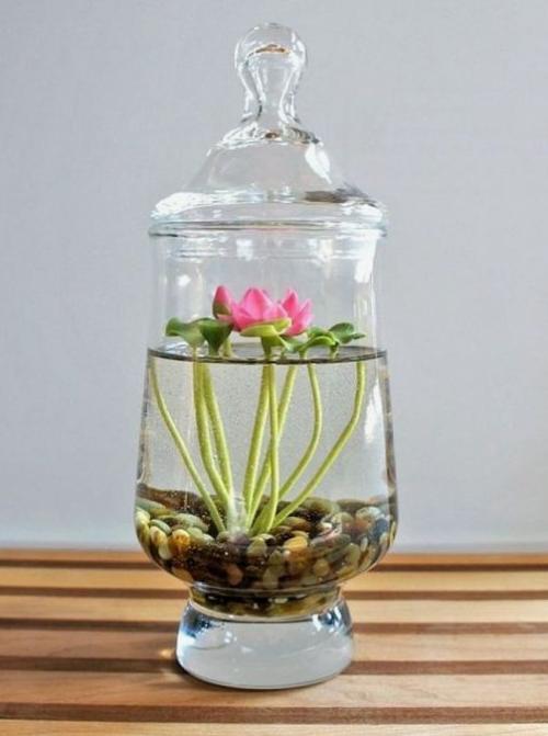 Создание уютного сада с помощью пластиковых бутылок 07