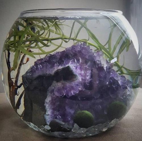 Создание уютного сада с помощью пластиковых бутылок 05