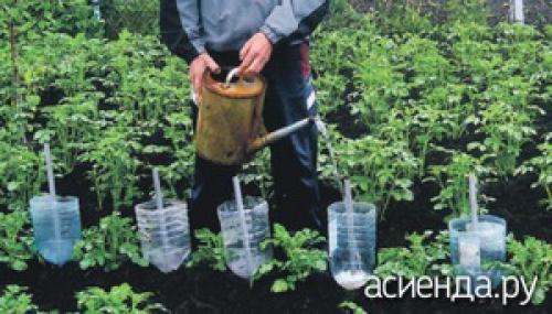 Как обеспечить достаточную вентиляцию для растений в пластиковых бутылках. Как устроить капельный полив из пластиковых бутылок Существует множество конструкций для автоорошения, подразумевающих покупку шлангов и других приспособлений. Рассмотрим экономичный вариант, доступный каждому. Используя пластиковые бутылки можно обеспечить направленное поступление влаги на несколько дней. Аналогично можно использовать стеклянную тару, полиэтиленовые мешочки. Рассмотрим несколько видов бесперебойного орошения.