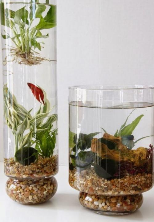 Создание уютного сада с помощью пластиковых бутылок 06