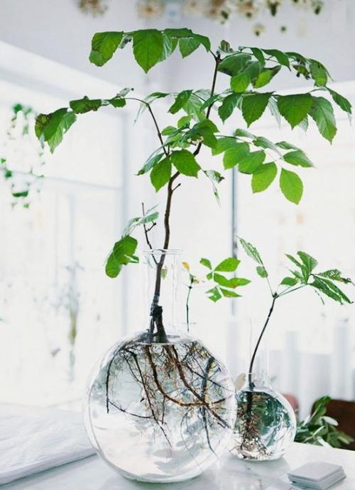 Создание уютного сада с помощью пластиковых бутылок 03