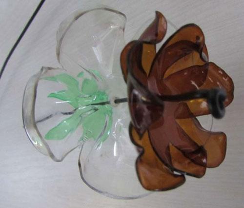 Цветы из бутылок пластиковых. Цветы из донышек пластиковых бутылок