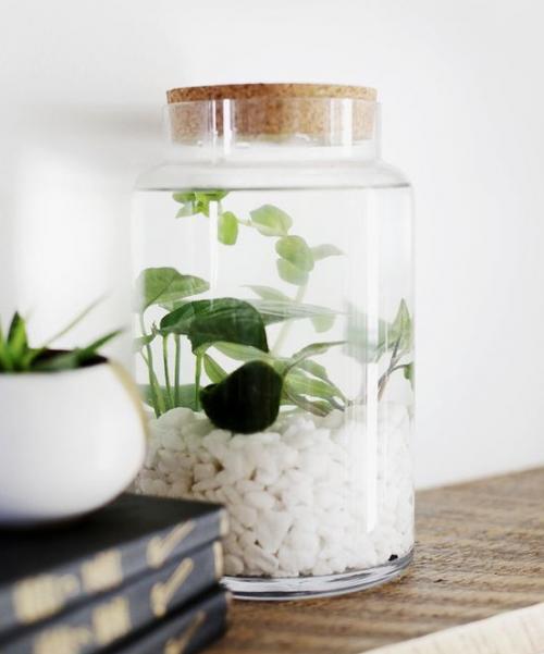 Создание уютного сада с помощью пластиковых бутылок 08