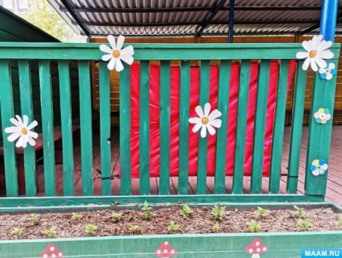 Какие инструменты и материалы необходимы для создания цветов из бутылок пластиковых. Мастер-класс «Ромашка из пластиковых бутылок»