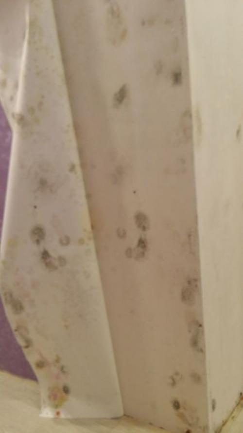 Как избежать образования налета на покрашенных обоях. Появились пятна на обоях