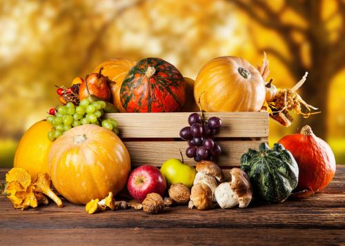 Что посадить в сентябре. Что можно посадить и посеять в сентябре. Делимся опытом и советами 01 Что посадить в сентябре. Что можно посадить и посеять в сентябре. Делимся опытом и советами 01