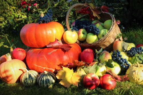 Что посадить в сентябре. Что можно посадить и посеять в сентябре. Делимся опытом и советами 03 Что посадить в сентябре. Что можно посадить и посеять в сентябре. Делимся опытом и советами 03