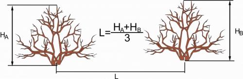 Осень - идеальное время для посадки деревьев и кустарников: почему и как 01