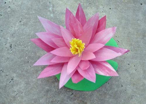 Какие инструменты и материалы необходимы для создания цветов из пластиковых бутылок. Цветы из пластиковых бутылок: делаем для дачи, сада и огорода по инструкции для начинающих, фото обзор лучших идей