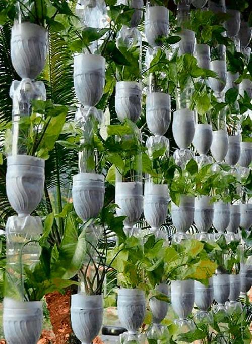 Какие типы растений лучше всего использовать для создания вьющихся цветов из пластиковых бутылок. Подвесная клумба для цветов из пластиковых бутылок