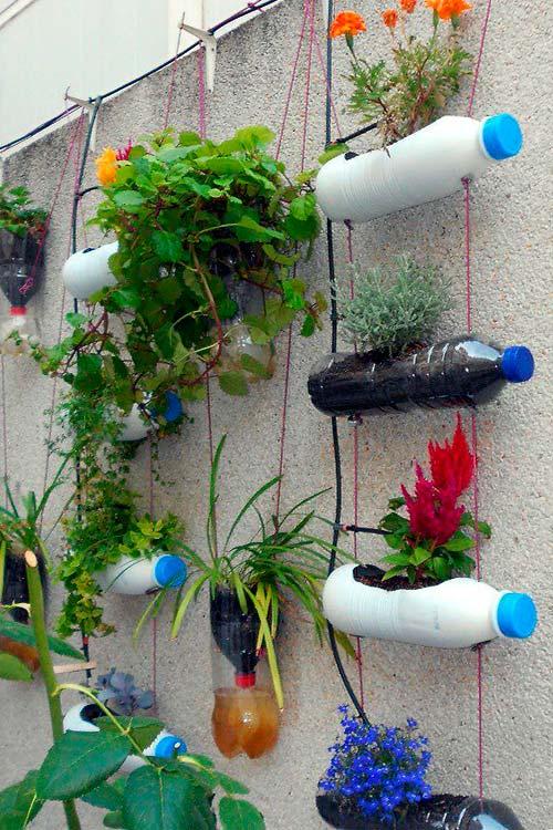 Какие типы растений лучше всего использовать для создания вьющихся цветов из пластиковых бутылок. Подвесная клумба для цветов из пластиковых бутылок