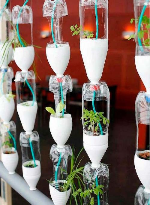 Какие типы растений лучше всего использовать для создания вьющихся цветов из пластиковых бутылок. Подвесная клумба для цветов из пластиковых бутылок