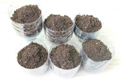 Удивительные цветы из пластиковых бутылок: идеальное решение для улучшения вашего сада 04