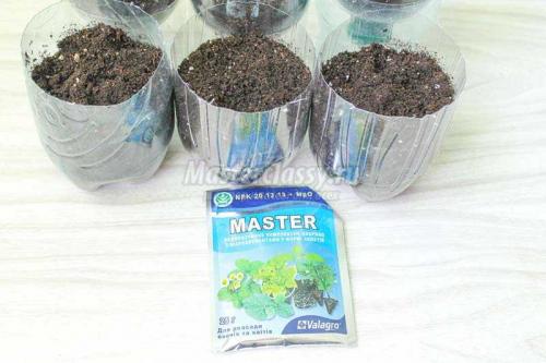 Удивительные цветы из пластиковых бутылок: идеальное решение для улучшения вашего сада 06