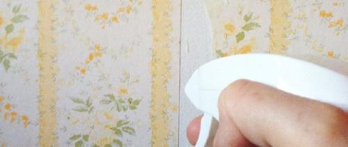 Можно ли мыть флизелиновые обои и чем. Чем можно очистить обои? 13