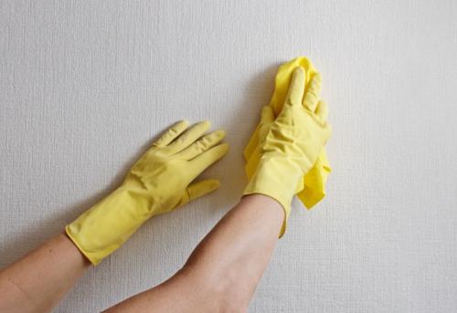 Флизелиновые обои можно мыть на бумажной основе. Поддаются ли мытью флизелиновые обои 04