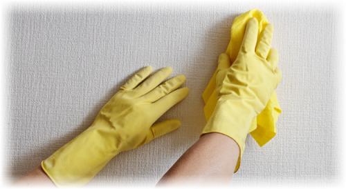 Чем мыть виниловые обои на бумажной основе. Виниловые обои: можно ли их мыть 02