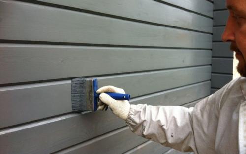 Каким цветом покрасить стены в зале. В какой цвет покрасить стены в гостиной и зале