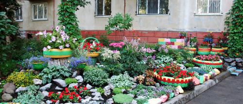 Должны ли жители сажать деревья самостоятельно. Какие деревья лучше сажать в городе? 06