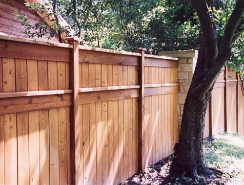 Закон о посадке деревьев. Нормативная база для высадки саженцев вблизи домов