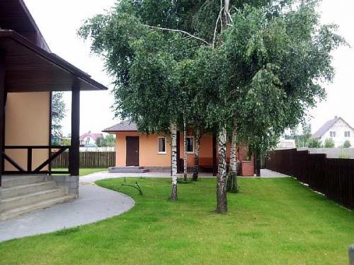 Деревья ближе 5 метров. Важность соблюдения дистанций при посадке деревьев и кустарников