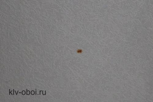 Как помыть обои от грязи. Как очистить от грязи бумажные обои 04