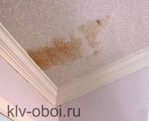 Как помыть обои от грязи. Как очистить от грязи бумажные обои 05