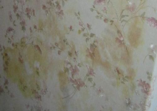 Как отбелить пожелтевшие обои. Почему со временем проступают желтые пятна на обоях