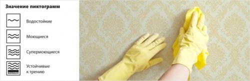 Как помыть обои под покраску. Способы мытья