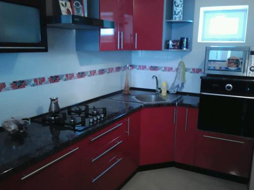 Какой пластик для кухни лучше. Кухня из пластика: плюсы и минусы, типы покрытий, удачные сочетания цветов (реальные фото)