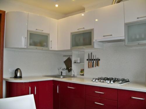 Какой пластик для кухни лучше. Кухня из пластика: плюсы и минусы, типы покрытий, удачные сочетания цветов (реальные фото)