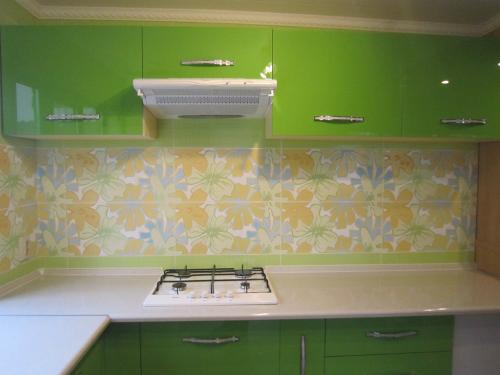 Какой пластик для кухни лучше. Кухня из пластика: плюсы и минусы, типы покрытий, удачные сочетания цветов (реальные фото)